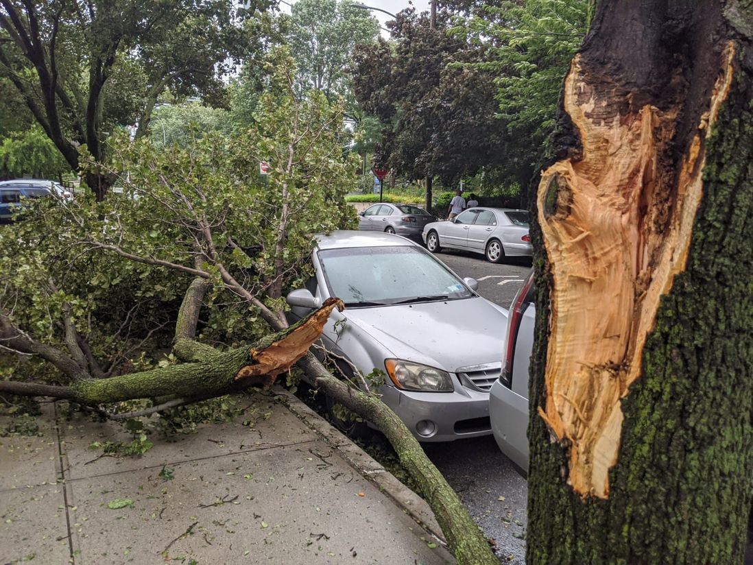 A tree branch is on a car, with a tree and the area where the branch fell from in the foreground
